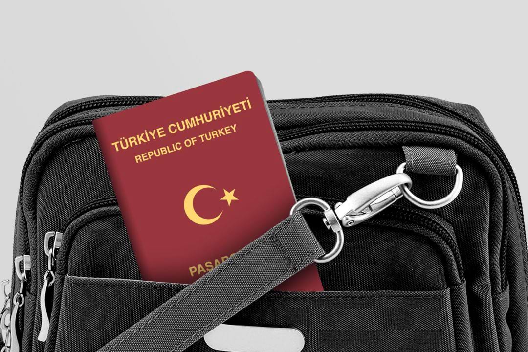 around-630000-people-of-turkish-origin-in-germany-to-reapply-for-turkish-citizenship.jpg